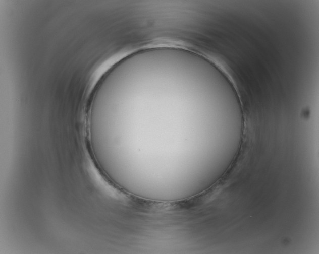 X0000112531003200909071353