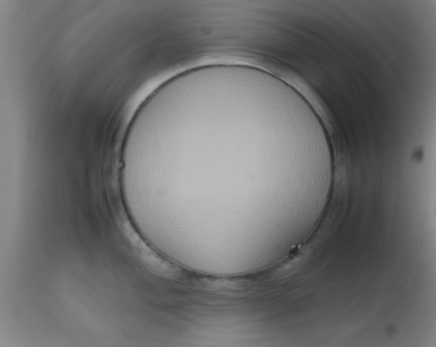 X0000112531004200909071353