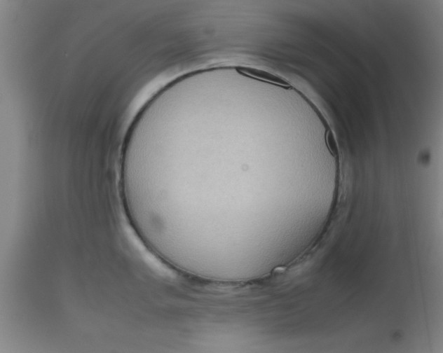 X0000112531005200909071353