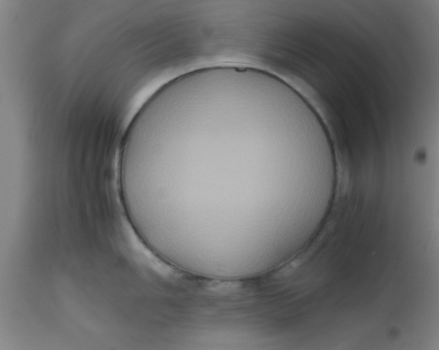 X0000112531006200909071353