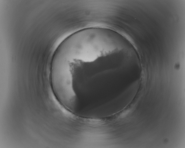 X0000112531007200909071353