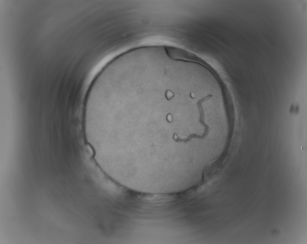 X0000112531008200909071353