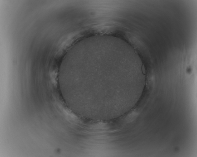 X0000112531010200909071352