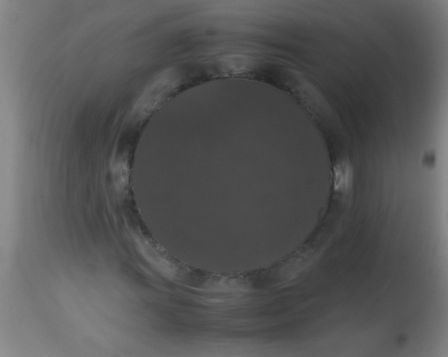 X0000112531011200909071352