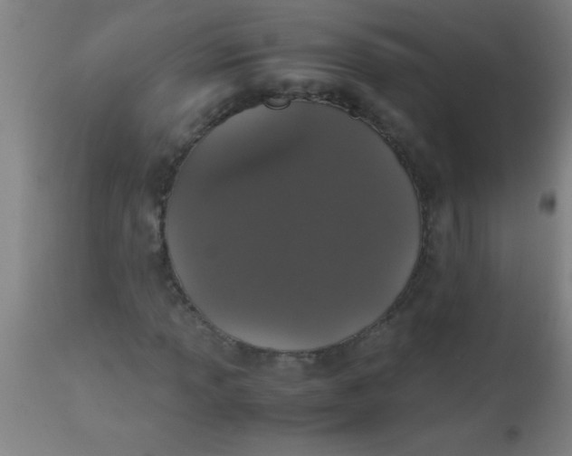 X0000112531013200909071352