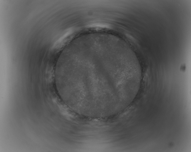 X0000112531014200909071352