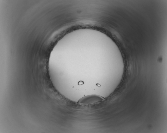 X0000112531016200909071352