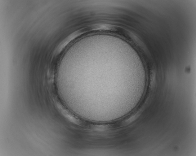 X0000112531017200909071352
