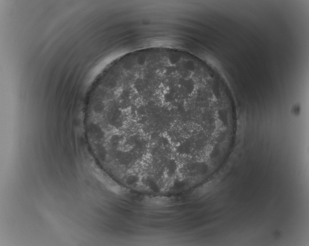 X0000112531019200909071352