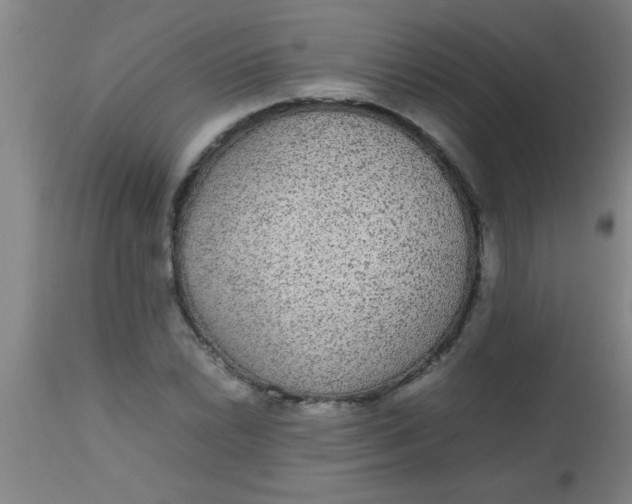 X0000112531022200909071352