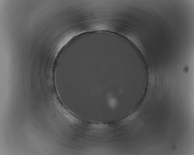 X0000112531023200909071353