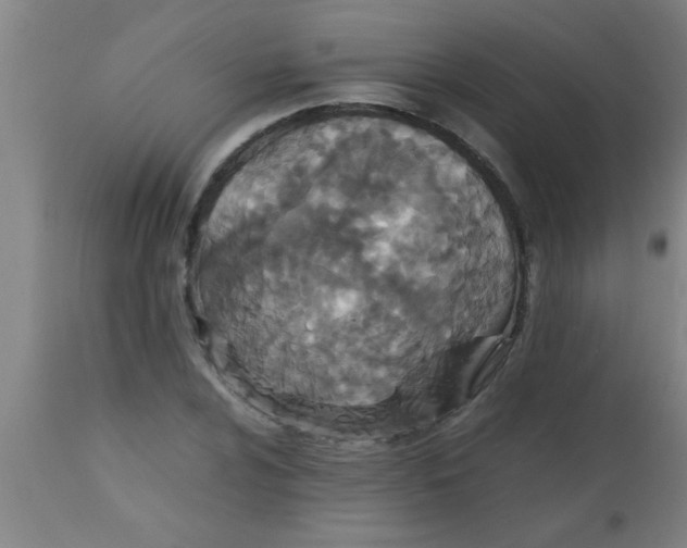 X0000112531024200909071353