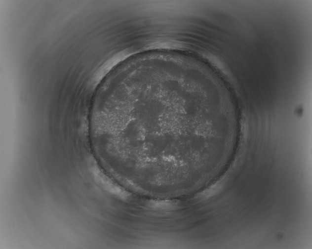 X0000112531025200909071353