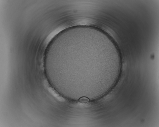 X0000112531026200909071353