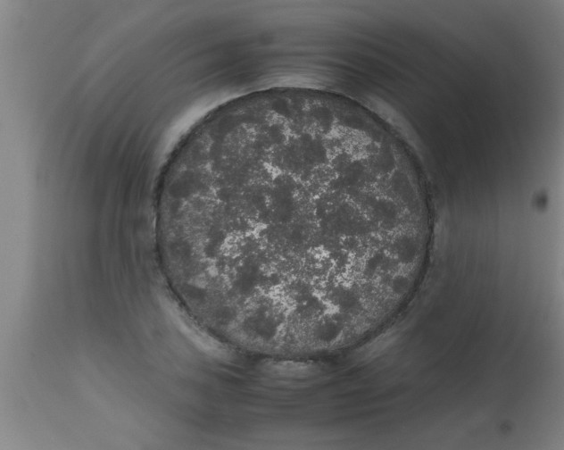 X0000112531027200909071353