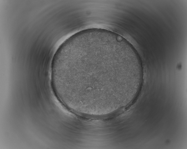 X0000112531028200909071353