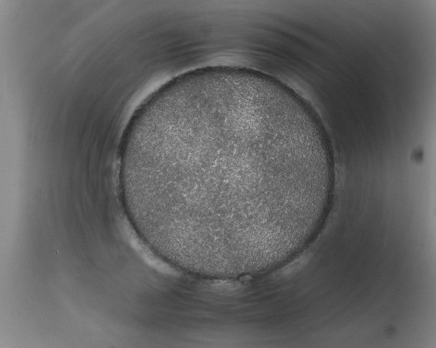 X0000112531029200909071353