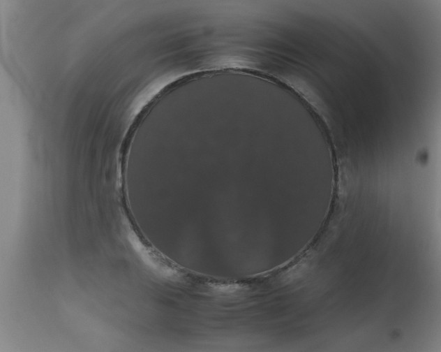 X0000112531031200909071353