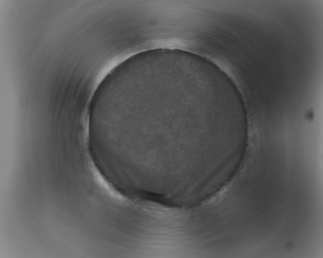 X0000112531032200909071353