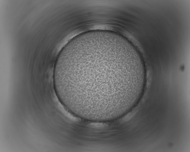 X0000112531033200909071353