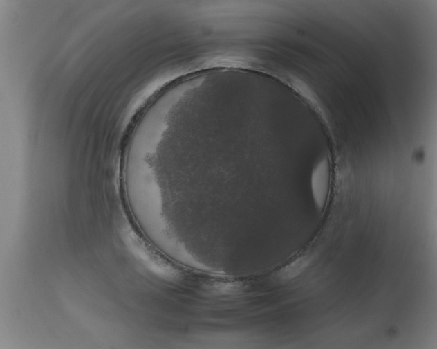 X0000112531035200909071353