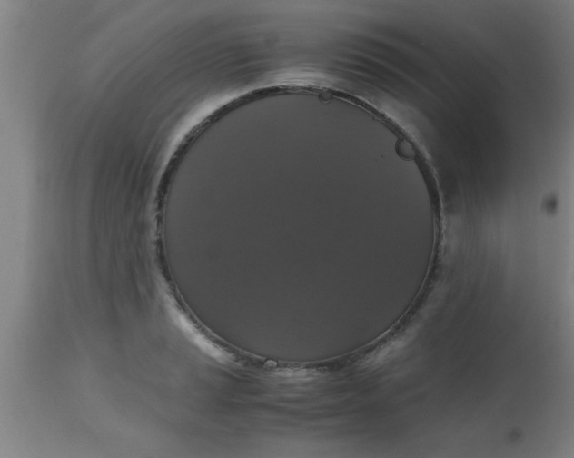 X0000112531037200909071353