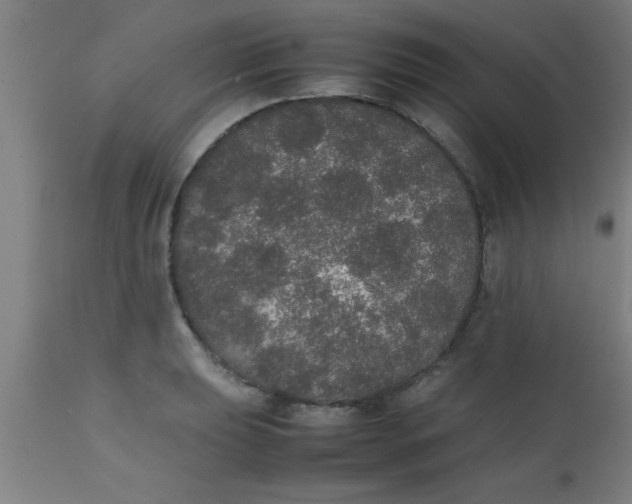 X0000112531039200909071353