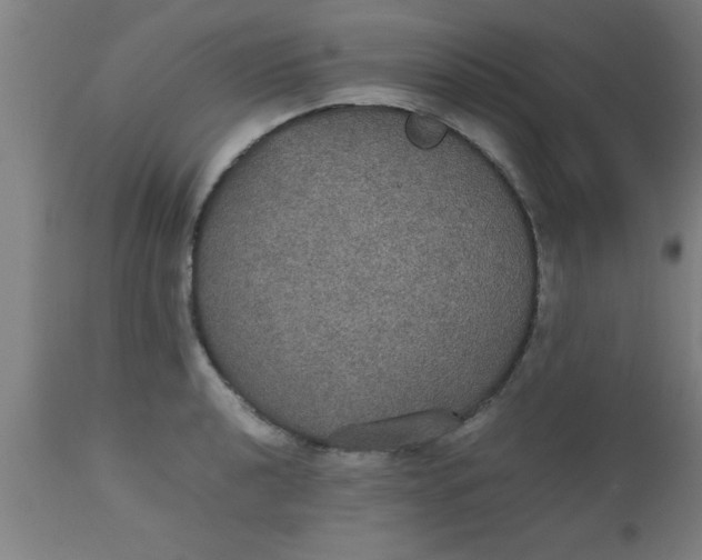 X0000112531040200909071353