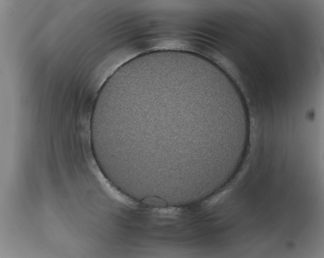 X0000112531041200909071353