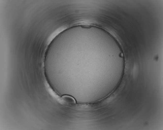 X0000112531042200909071353