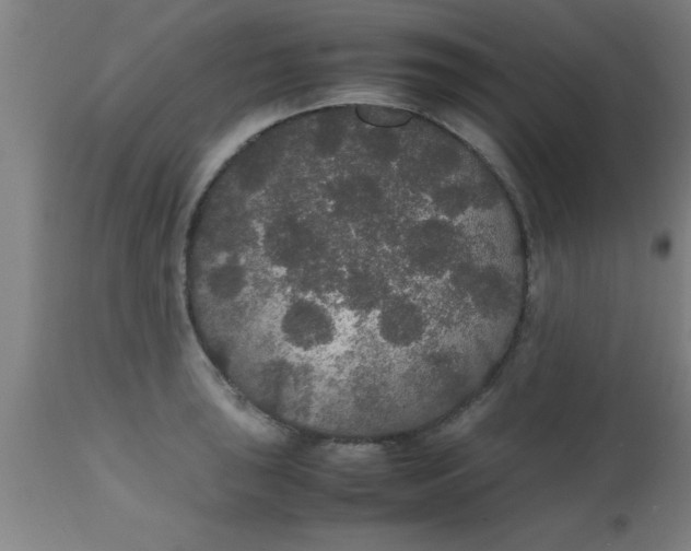 X0000112531043200909071353