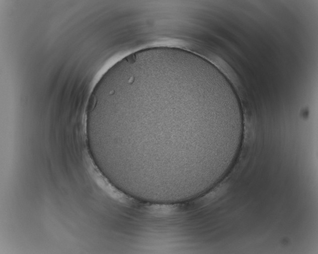 X0000112531044200909071353