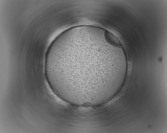 X0000112531046200909071353