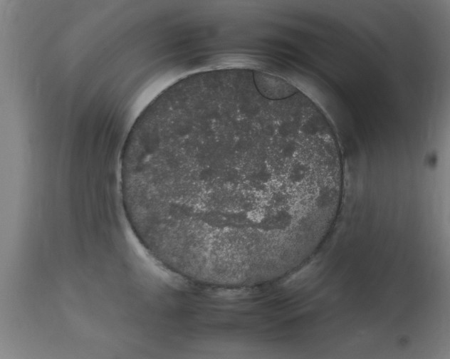 X0000112531047200909071353