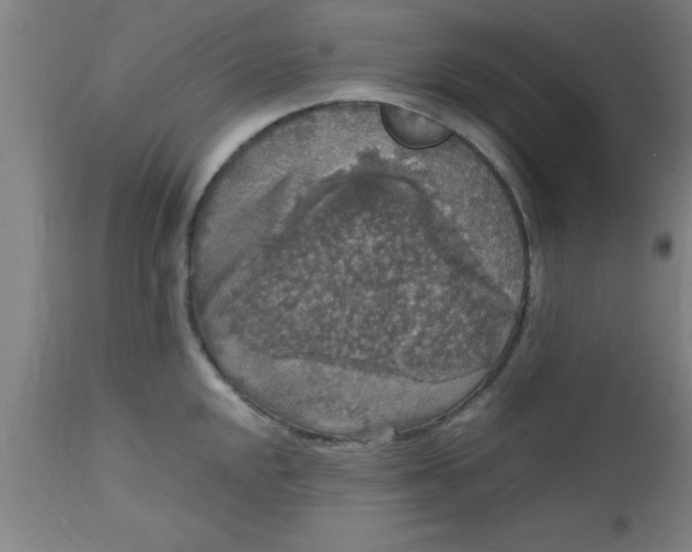 X0000112531048200909071353