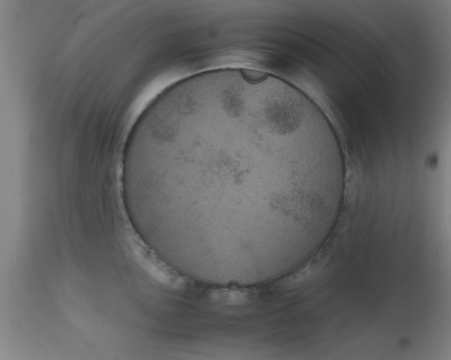 X0000112531051200909071353