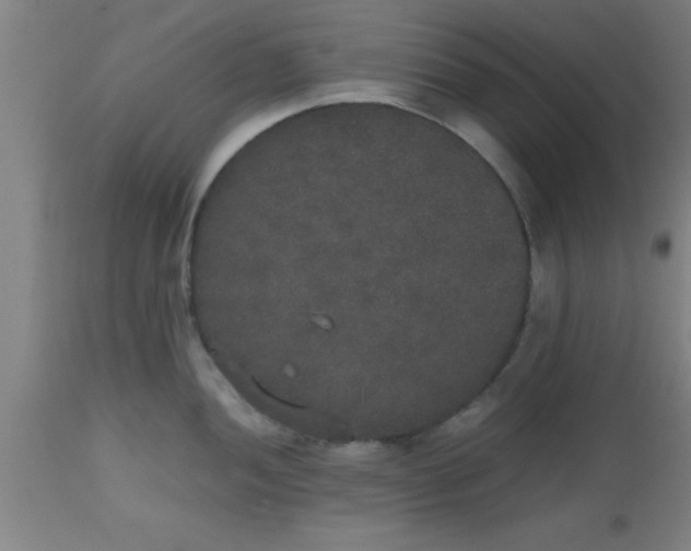 X0000112531052200909071353