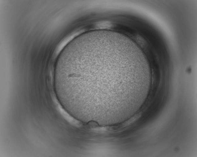 X0000112531054200909071353