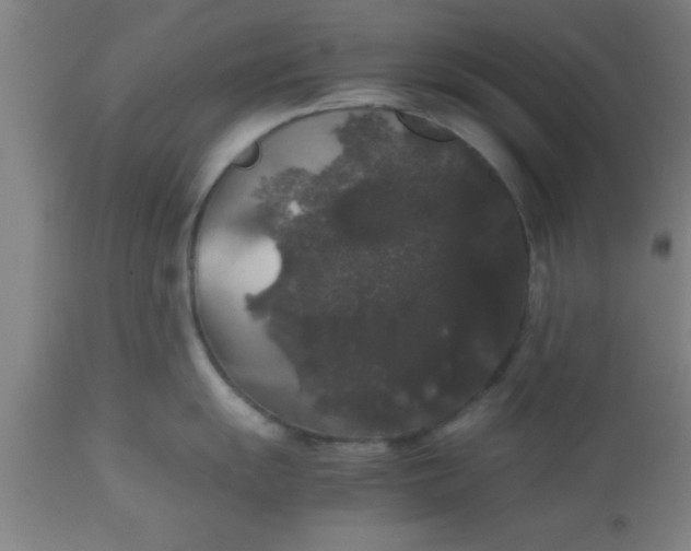 X0000112531055200909071353