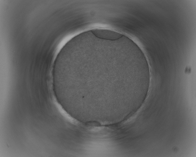 X0000112531056200909071353