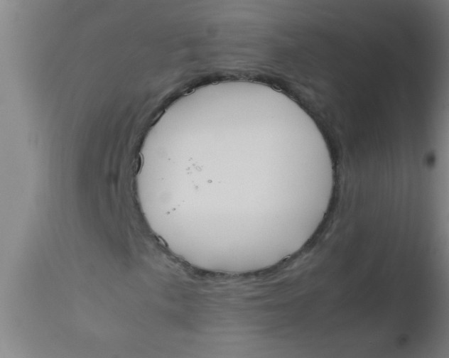 X0000112531057200909071352
