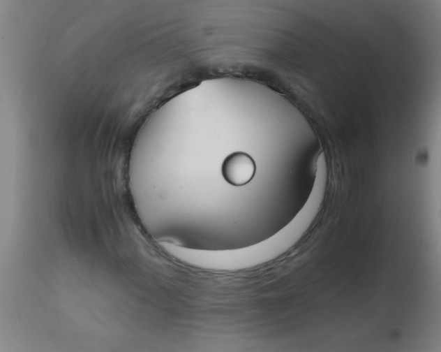 X0000112531060200909071352