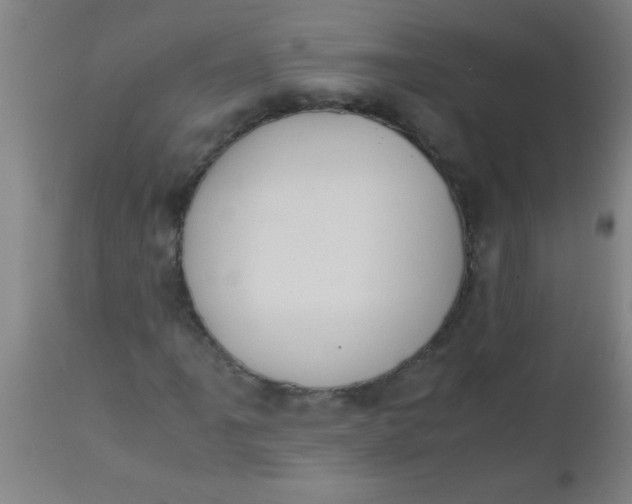 X0000112531061200909071352