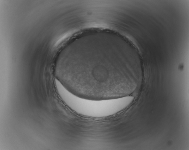 X0000112531064200909071352