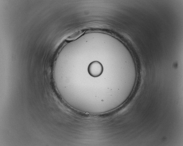 X0000112531065200909071352