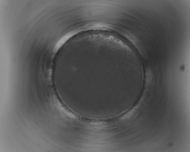 X0000112531066200909071352