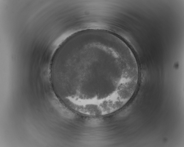 X0000112531074200909071352