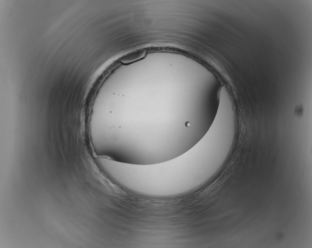 X0000112531076200909071352