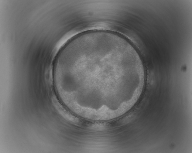 X0000112531078200909071352
