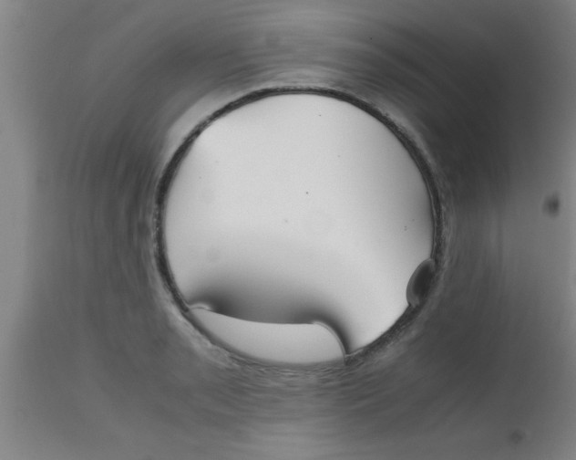 X0000112531085200909071352
